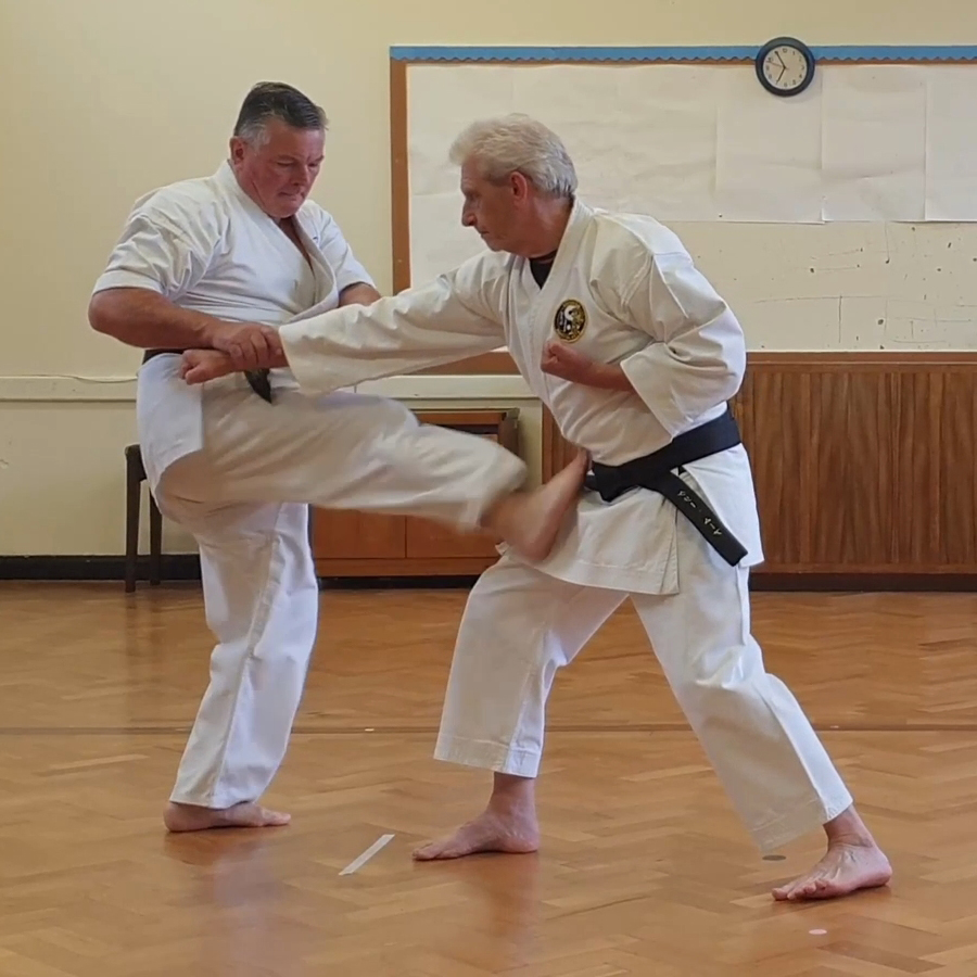 Tori applies controlled elbow pressure in Jūponme