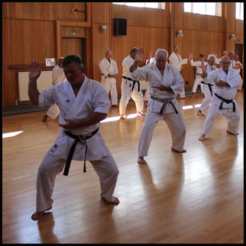 Pinan Shodan — foundations, stance, timing, movement