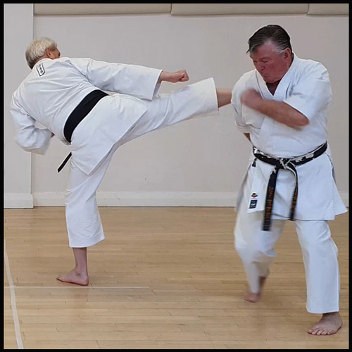 Roger Vickerman Renshi teaching Wadō-Ryū Karate