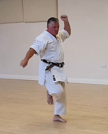 Chintō kata — dynamic angles, vertical transitions, and evasive strategy