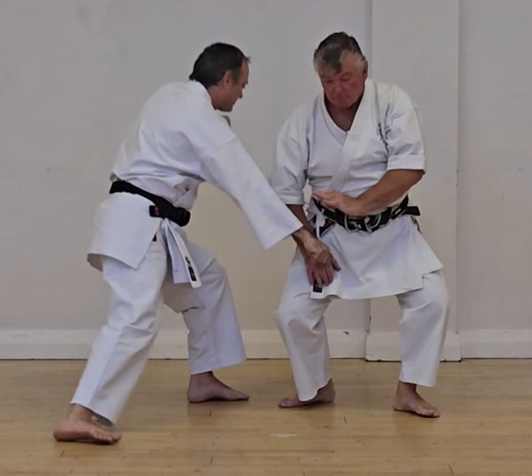 Jūryoku — using gravity, body weight and natural movement in Wadō-Ryū
