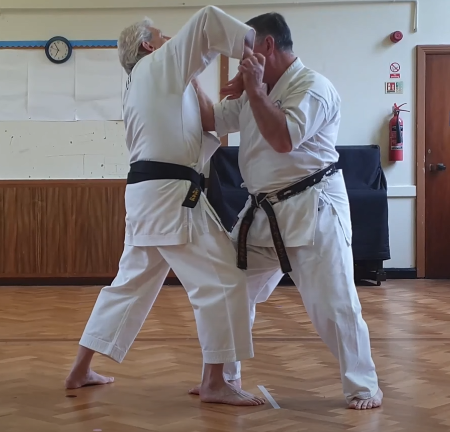 Rear view of Kumite Kata No.2 showing the wrist lock and close control