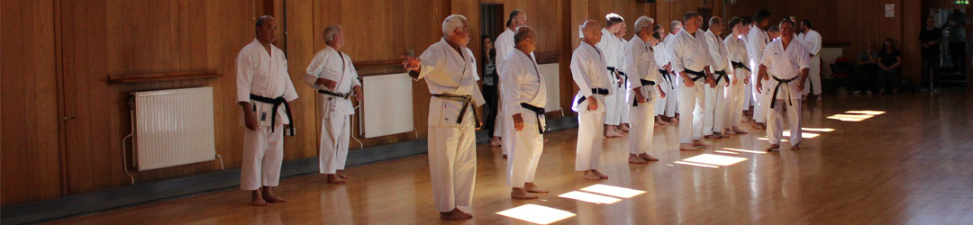 Traditional Karate