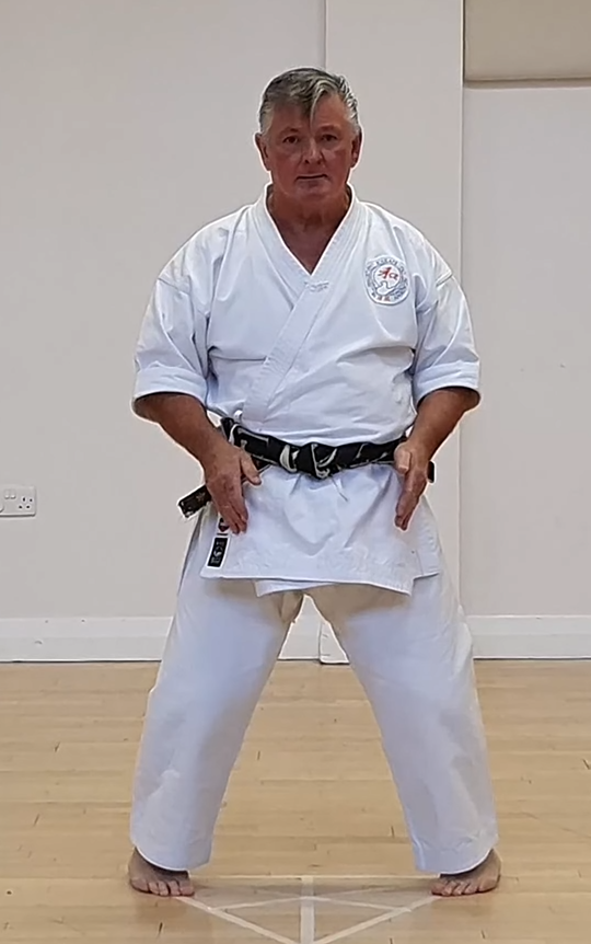 Naihanchi-dachi posture in Wadō-Ryū Karate