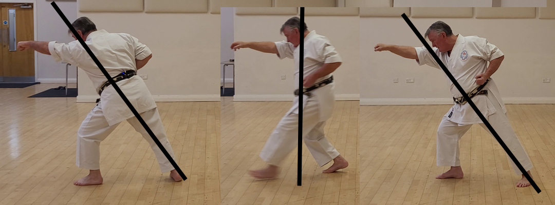 Roger Vickerman Notsukomi body positions