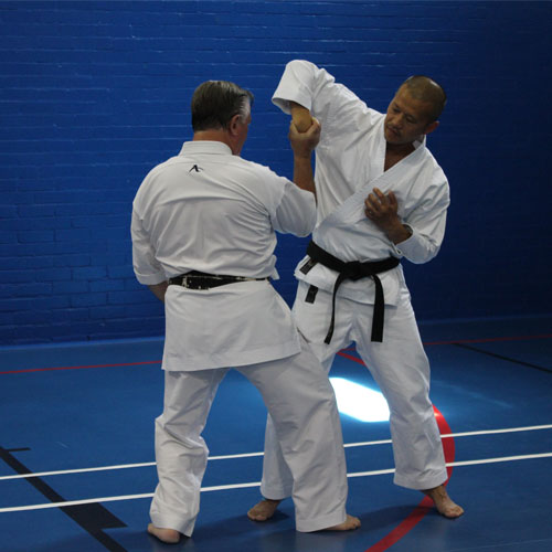 Roger Vickerman Renshi teaching Wadō-Ryū Karate