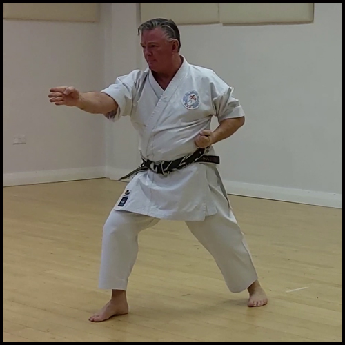 Pinan Sandan stance, movement, and body mechanics