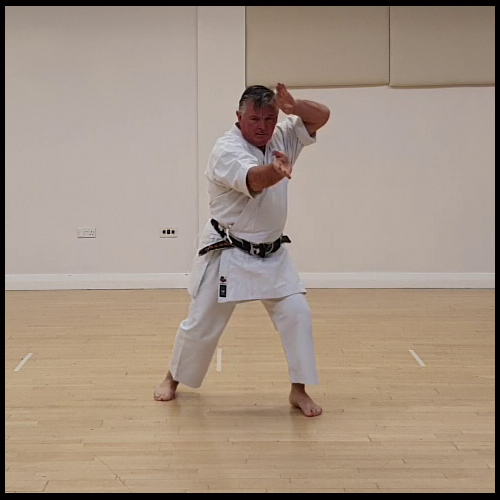 Pinan Yondan dynamic footwork and open-hand techniques