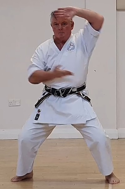 Rohai kata — one-legged balance, fluid transitions, and white heron imagery