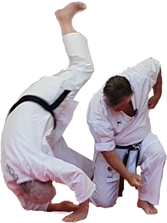 Roger Vickerman Renshi teaching Wadō-Ryū Karate