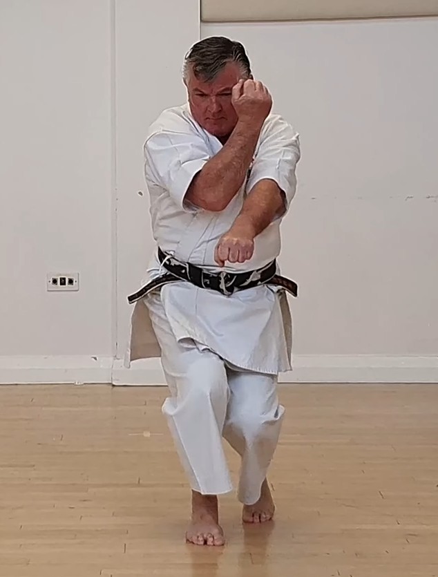 Wanshū kata — dynamic flow, deceptive angles, and elegant structure